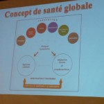 Concept de santé globale